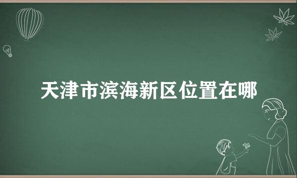 天津市滨海新区位置在哪