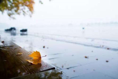 《在雨中》的原唱