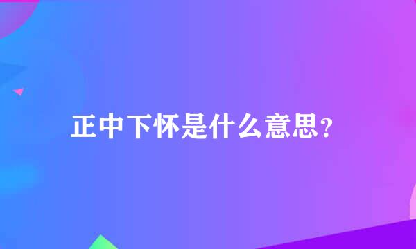 正中下怀是什么意思？