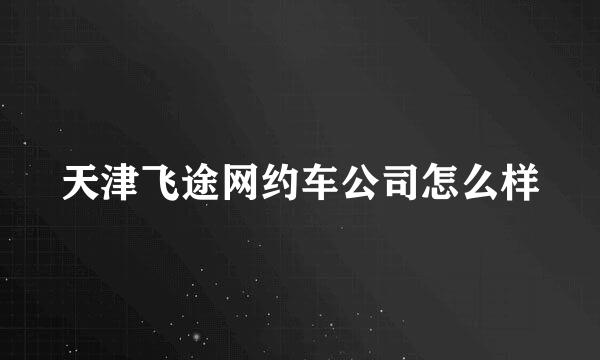 天津飞途网约车公司怎么样