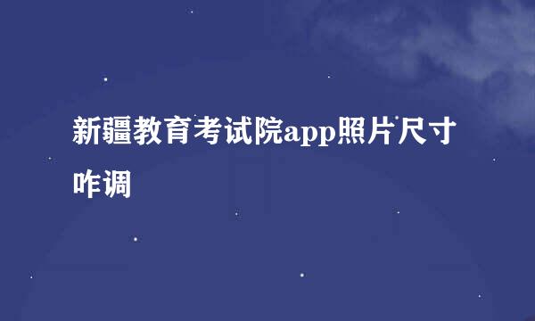 新疆教育考试院app照片尺寸咋调