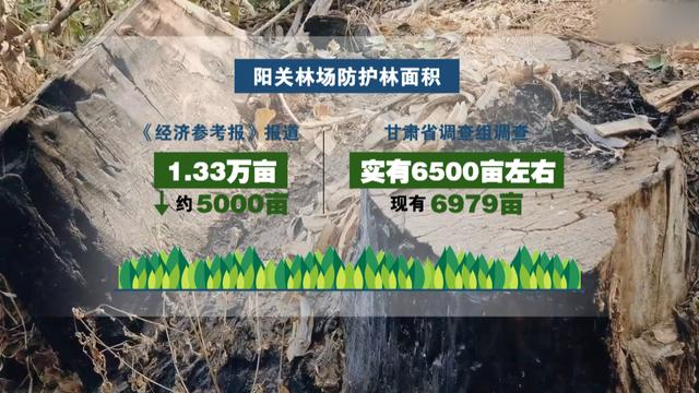 甘肃省敦煌市防护林被毁事件调查结果如何？