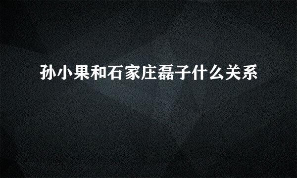 孙小果和石家庄磊子什么关系