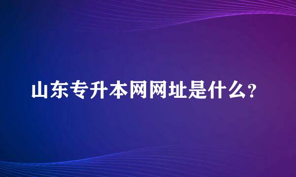 山东专升本网网址是什么？