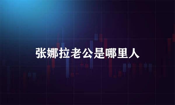 张娜拉老公是哪里人