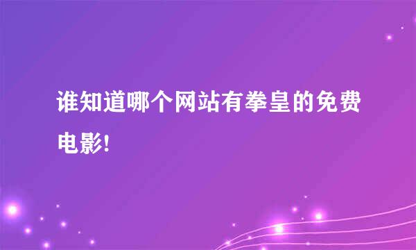 谁知道哪个网站有拳皇的免费电影!