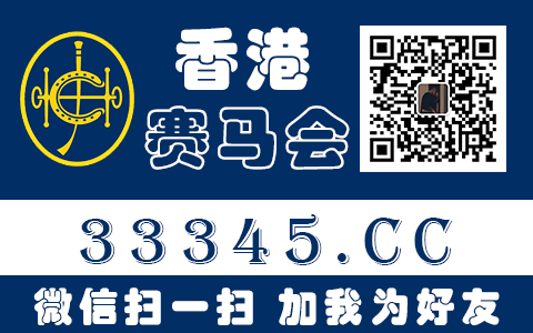 怎样查询公司信息