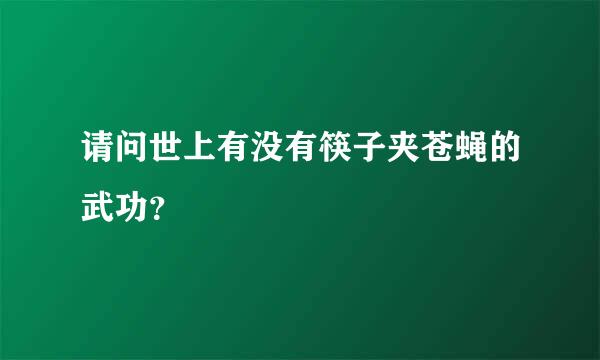 请问世上有没有筷子夹苍蝇的武功？