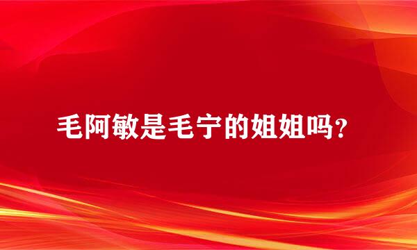 毛阿敏是毛宁的姐姐吗？