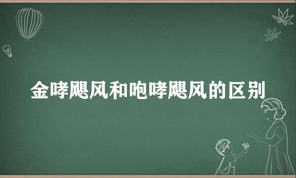 金哮飓风和咆哮飓风的区别