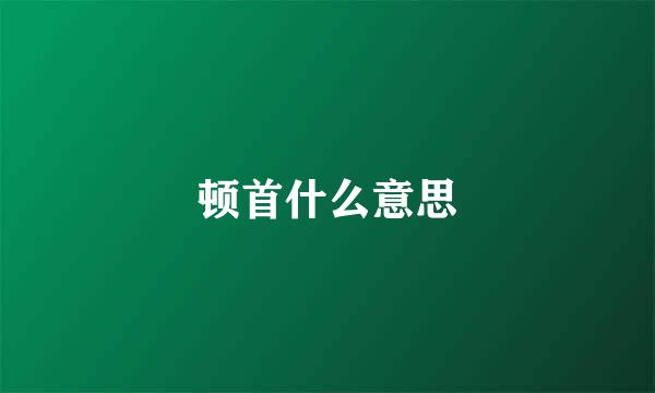 顿首什么意思