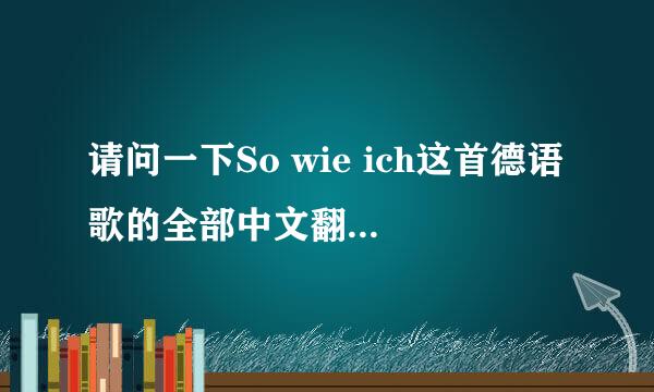 请问一下So wie ich这首德语歌的全部中文翻译，需要准确一点的。