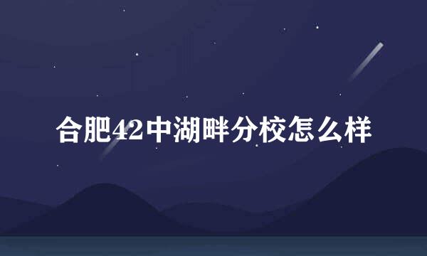 合肥42中湖畔分校怎么样