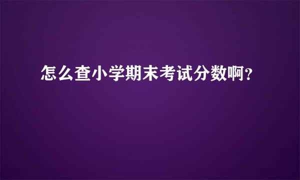 怎么查小学期末考试分数啊？