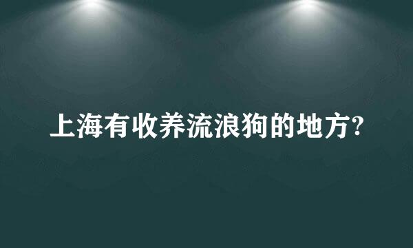 上海有收养流浪狗的地方?