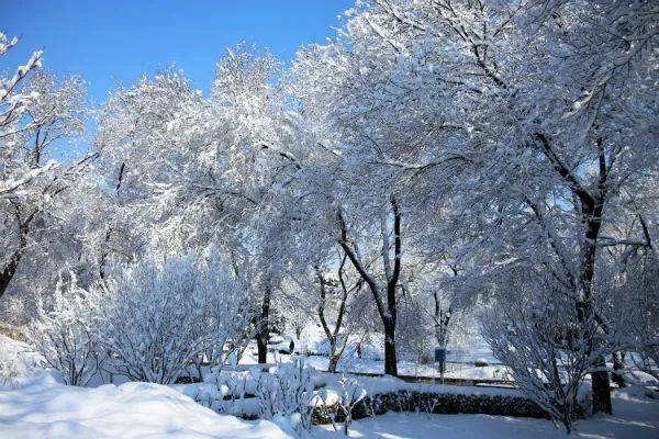 虎年开工第一天多地下大雪，人们出行时该注意哪些安全问题？