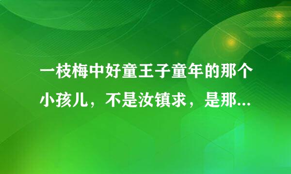 一枝梅中好童王子童年的那个小孩儿，不是汝镇求，是那个更小一点的男孩儿叫啥啊