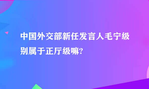 中国外交部新任发言人毛宁级别属于正厅级嘛?