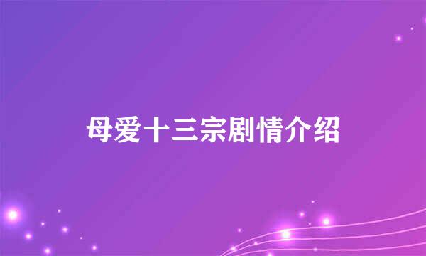 母爱十三宗剧情介绍