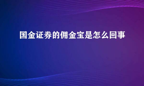 国金证券的佣金宝是怎么回事