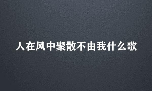 人在风中聚散不由我什么歌