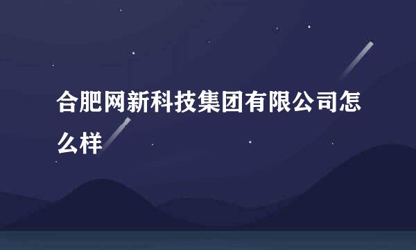 合肥网新科技集团有限公司怎么样