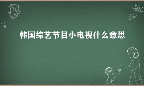 韩国综艺节目小电视什么意思