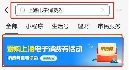 什么是爱购上海电子消费券？