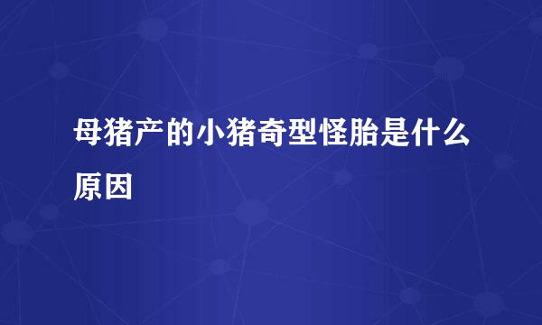 母猪产的小猪奇型怪胎是什么原因