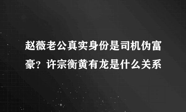 赵薇老公真实身份是司机伪富豪？许宗衡黄有龙是什么关系