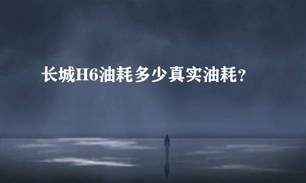 长城H6油耗多少真实油耗？