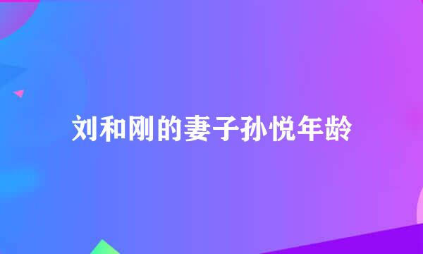 刘和刚的妻子孙悦年龄