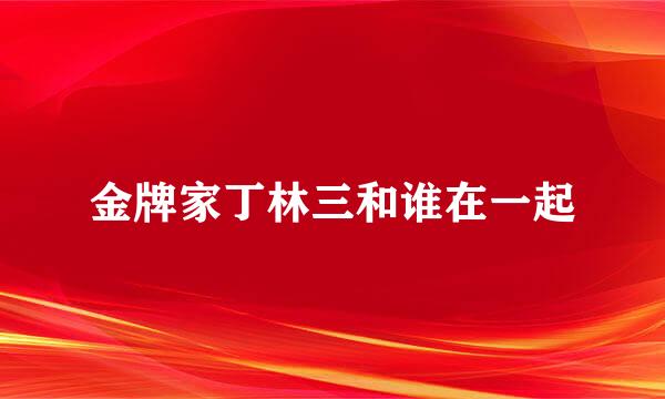 金牌家丁林三和谁在一起