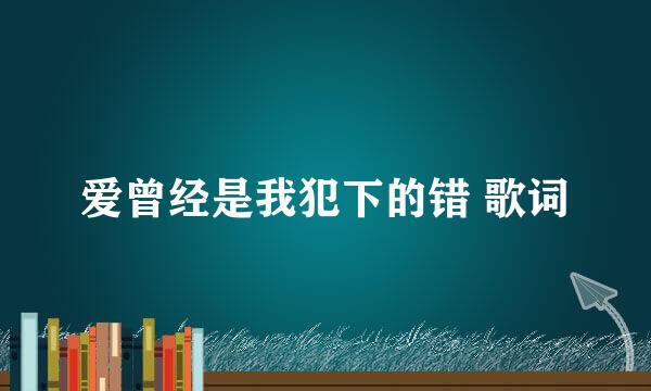 爱曾经是我犯下的错 歌词