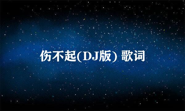 伤不起(DJ版) 歌词