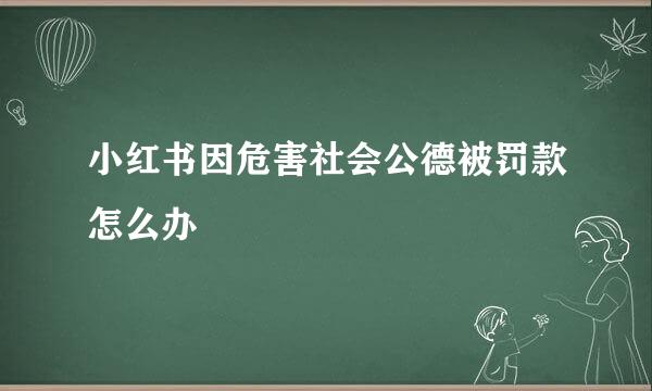 小红书因危害社会公德被罚款怎么办