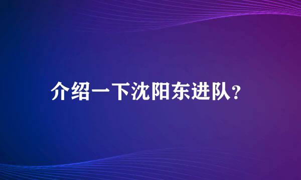 介绍一下沈阳东进队？