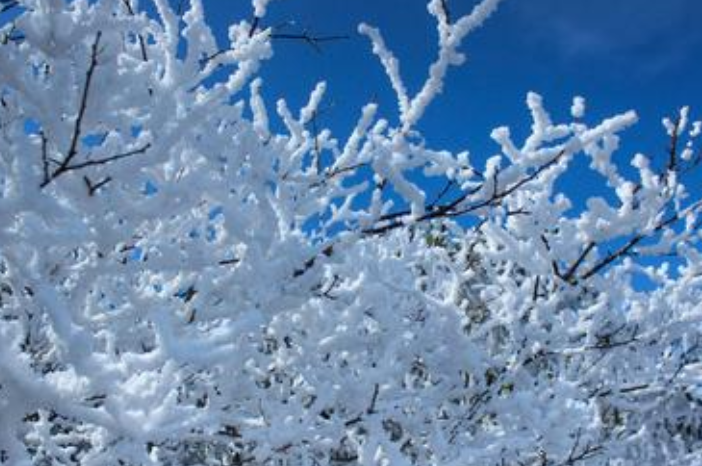 全国性寒潮天气来袭，北方多地将迎今冬初雪，未来还会更冷吗？