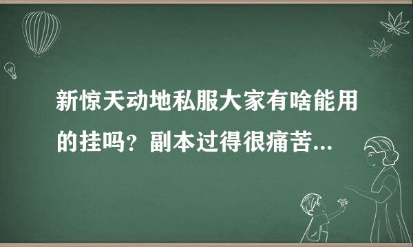 新惊天动地私服大家有啥能用的挂吗？副本过得很痛苦...