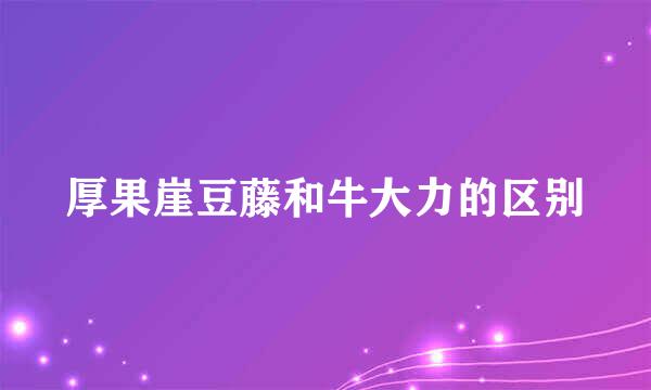 厚果崖豆藤和牛大力的区别