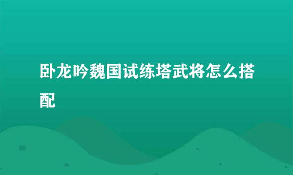 卧龙吟魏国试练塔武将怎么搭配