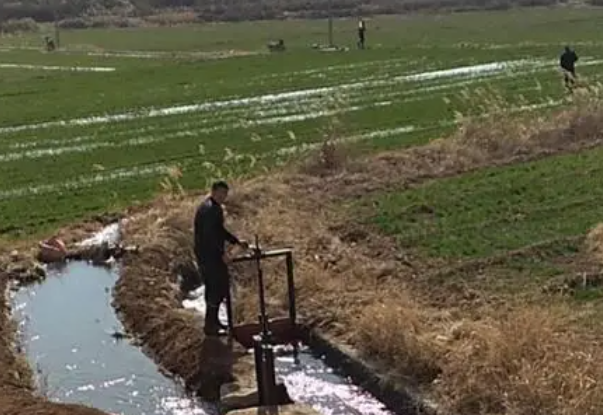 河北磁县回应农民反映承包土地浇地难，问题是否得到了解决？