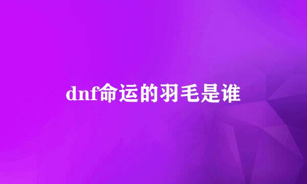 dnf命运的羽毛是谁