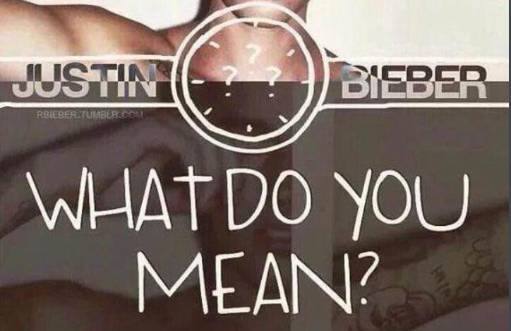 Justin Bieber what do you mean 中文歌词翻译 在线等！！急