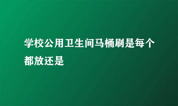 学校公用卫生间马桶刷是每个都放还是