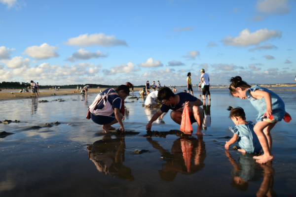 烟台大风过后，海肠遍布沙滩有千人赶海，你如何看待这个场景？