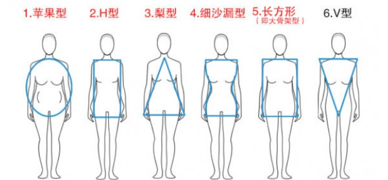 腿长腰短是什么身材