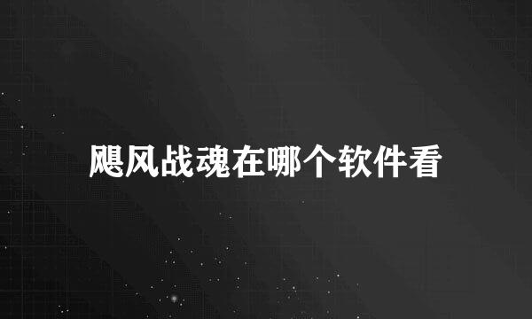 飓风战魂在哪个软件看