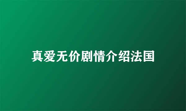 真爱无价剧情介绍法国