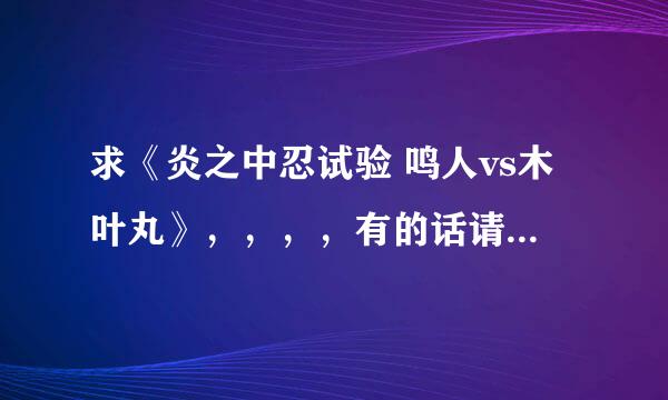 求《炎之中忍试验 鸣人vs木叶丸》，，，，有的话请发一下谢谢